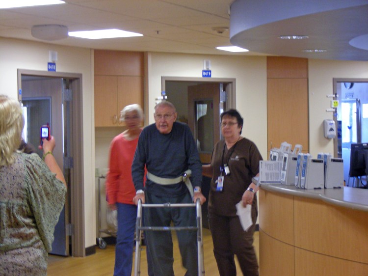 The Bionic Man or Pop...