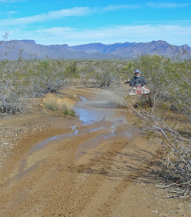 The desert is great!