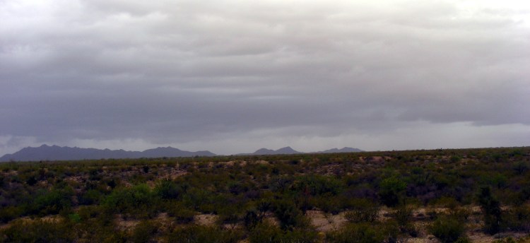 The calm before the storm.