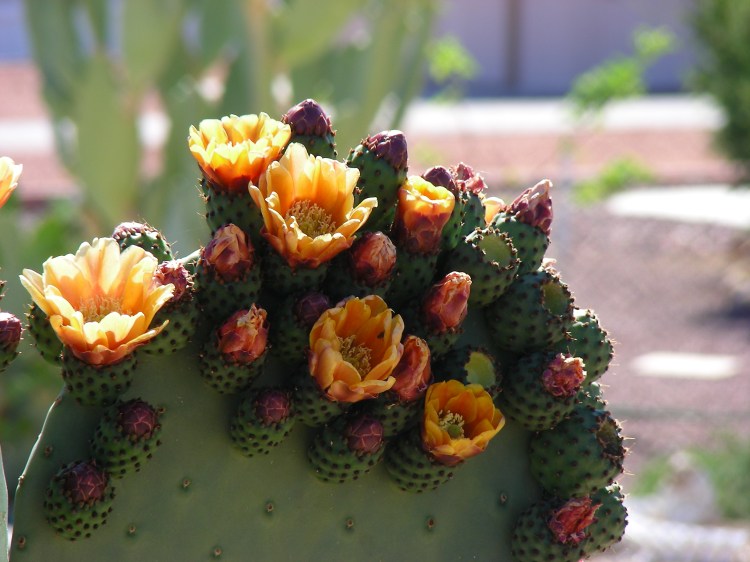 Even I like these...