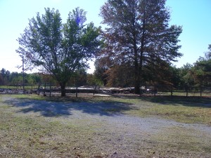 Our first job, a double wide mobile home with an addition. Homeowner had no insurance. Most of the homes we worked on were the same.