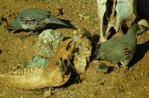 2012 04 28_0038_edited-1