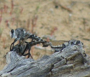 2012 09 05_0412_edited-1