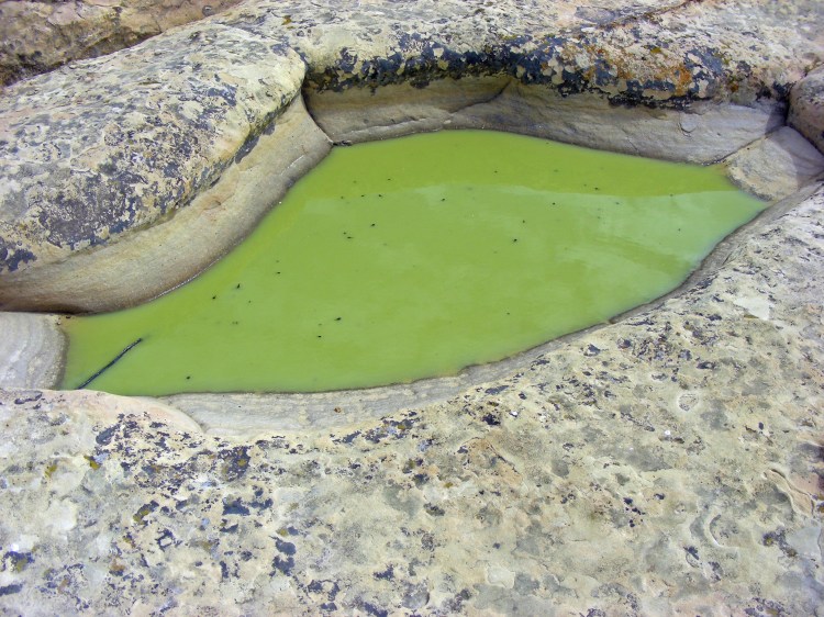 Small swimming hole...