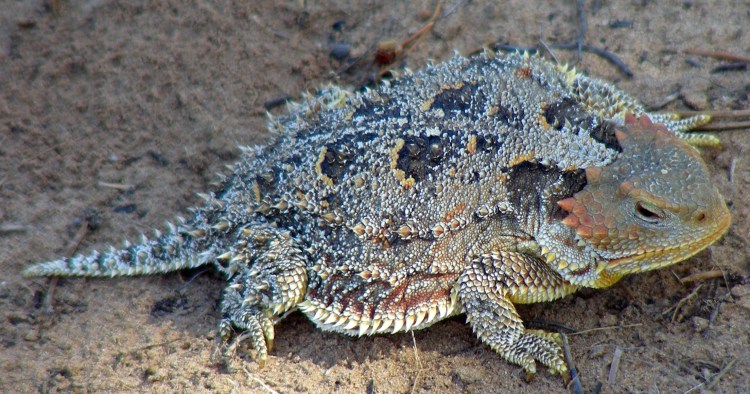 2012 09 07_0434_edited-1