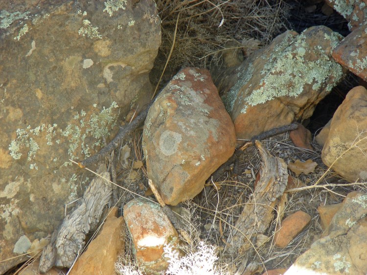 2012 09 07_0443_edited-1