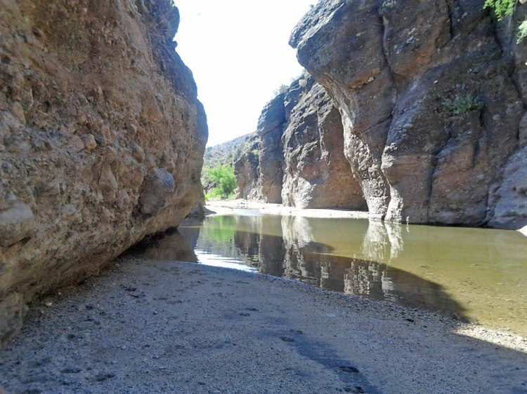 Just one of the reasons I ride...