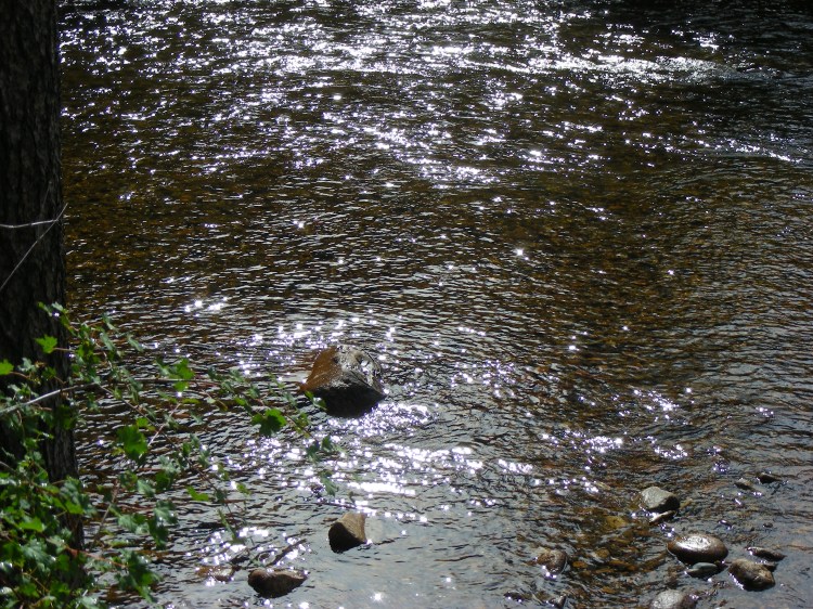 This was just behind our camp site....