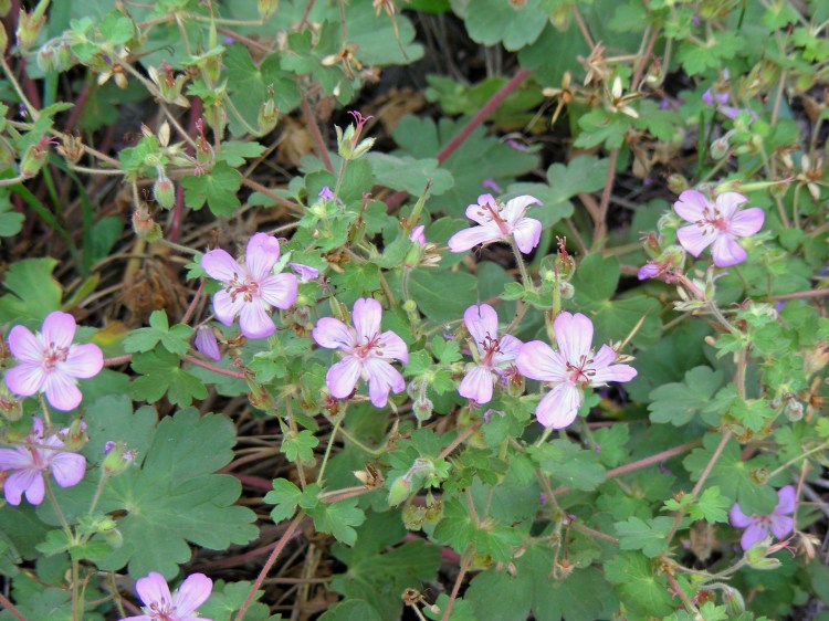 2013 08 23_1050_edited-1