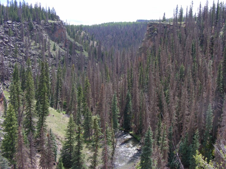 2013 08 26_1087_edited-1