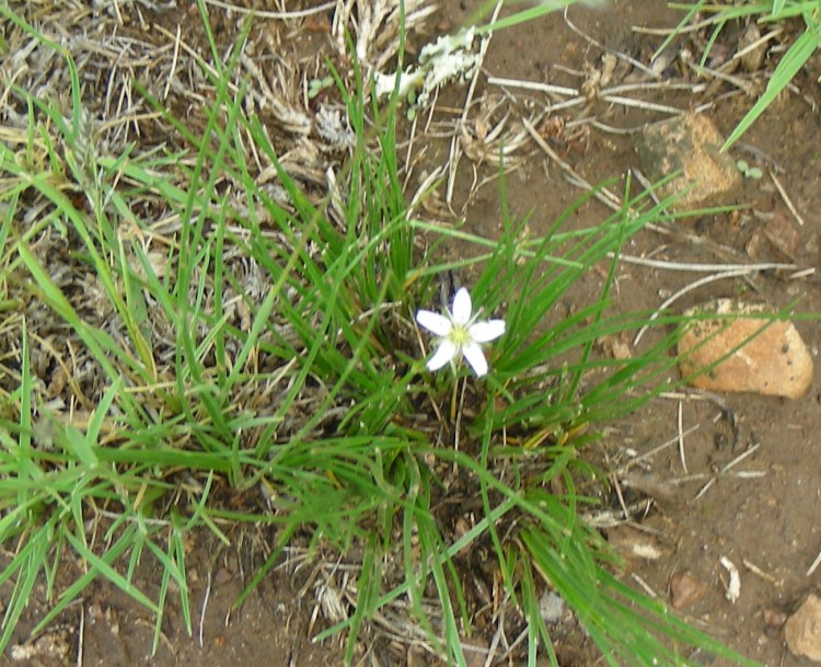 2013 08 26_1094_edited-1