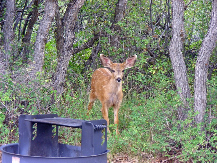 2013 09 01_1175_edited-1