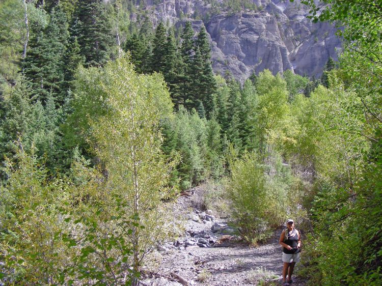 After our encounter with the bear track, Norm tried singing, I had to put a stop to that and used a stick to bag on every tree I passed...