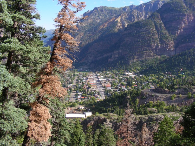 The Sutton Mine trail had ten switchbacks and climbed 900 feet in the first half mile. It was a tough one, but we need it to get in shape for more climbs. This is the view of main street on Ouary....