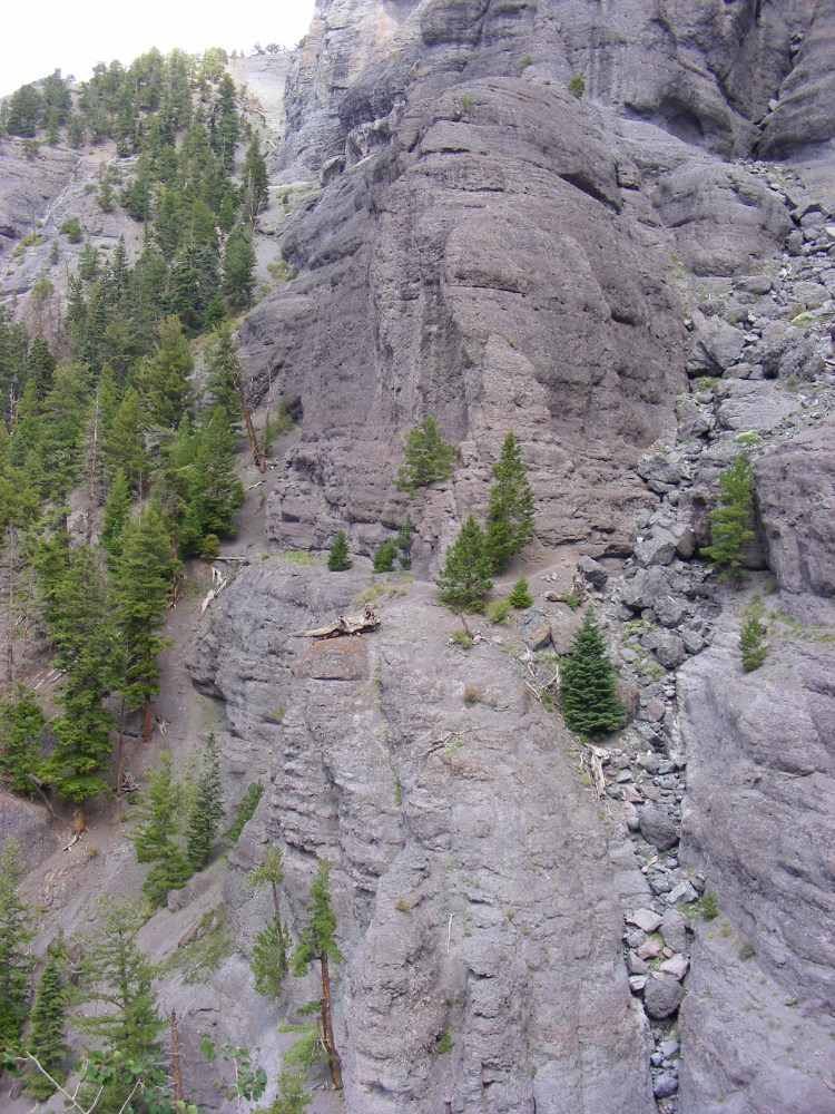 Look at the middle of the photo and you can see part of the trail...