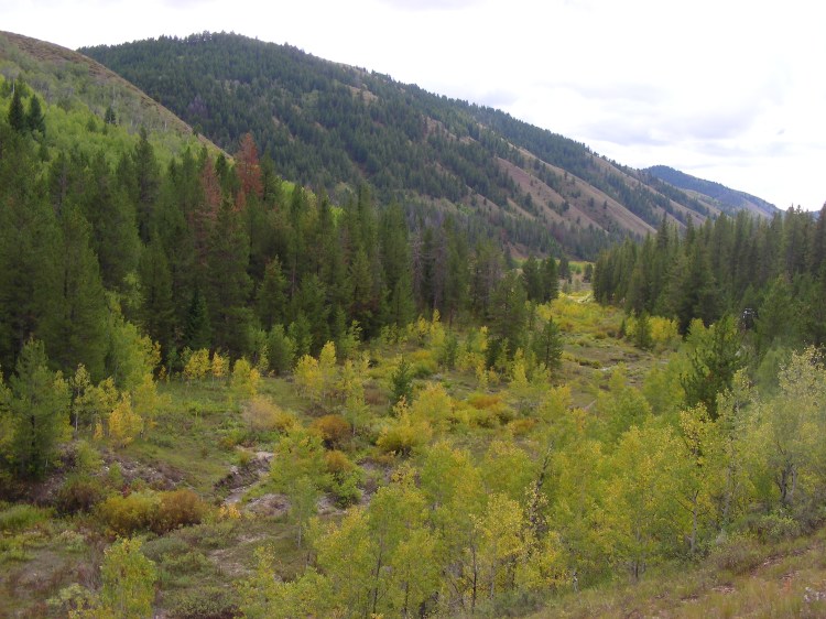 We hiked all over for two days. We saw lots of animal signs, but no animals...