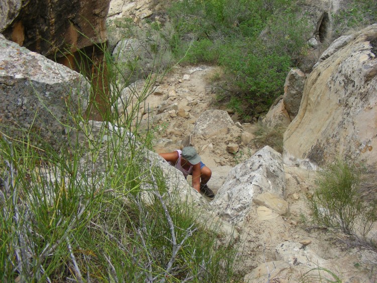 Norm scrambles up a rocky ledge in the Dinosaur National park...