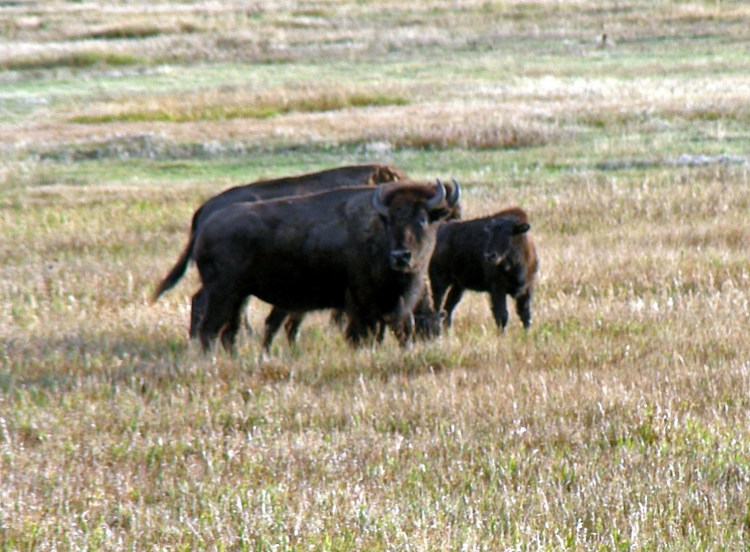 2013 09 17_1314_edited-1