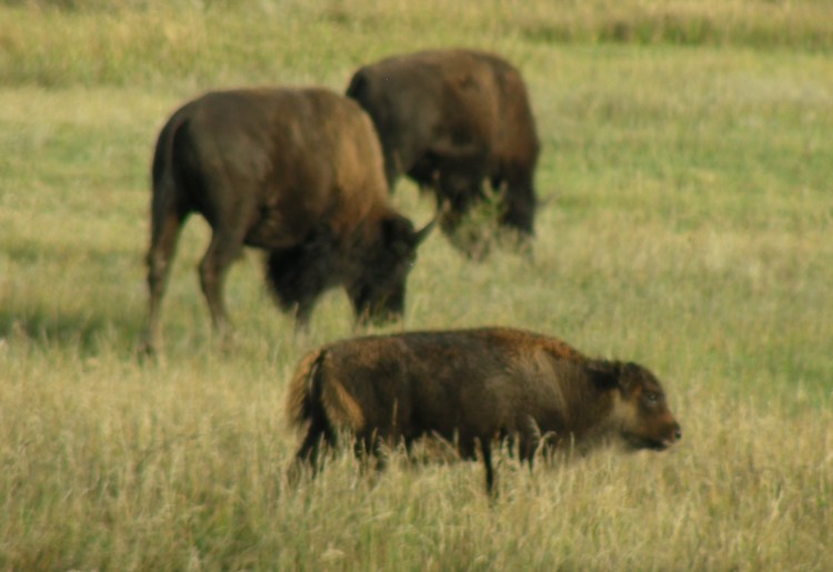 2013 09 17_1316_edited-1