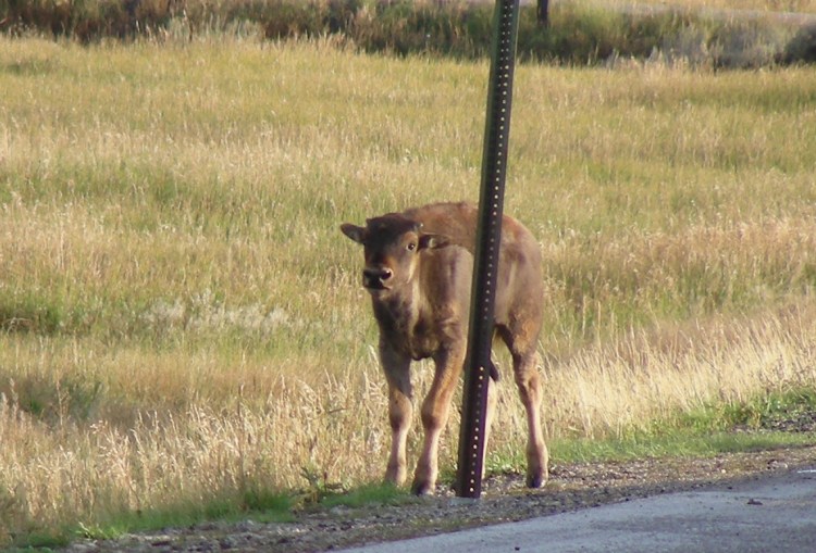 2013 09 17_1317_edited-1