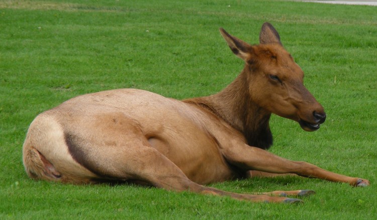 2013 09 19_1349_edited-1