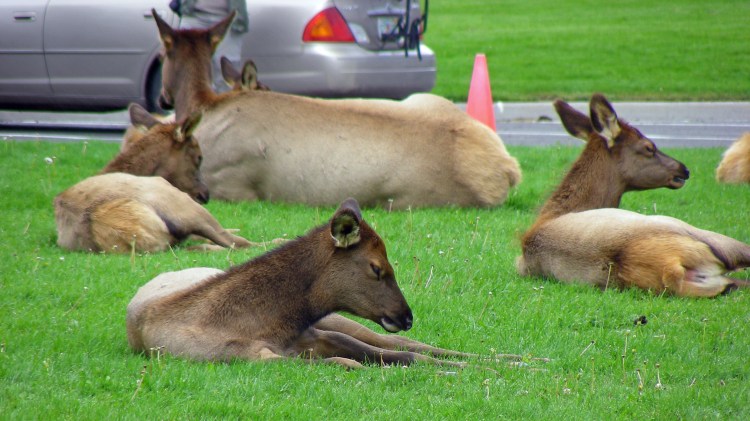 2013 09 19_1354_edited-1