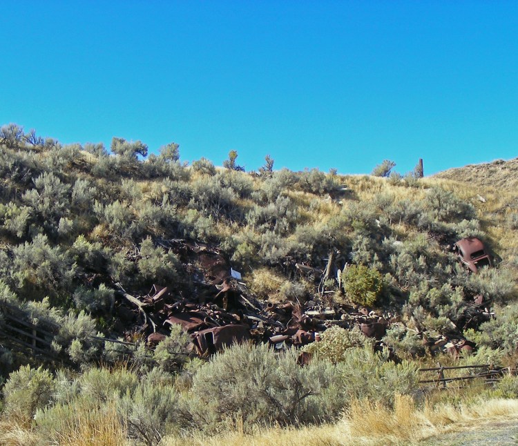 This is one of two old junk heaps. Lots of cars from the thirties and forties. I had to drag Norm away. She kept mumbling something about yard art...