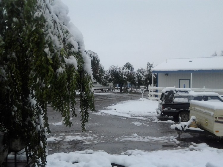 Tree branches were broken all over this RV park...