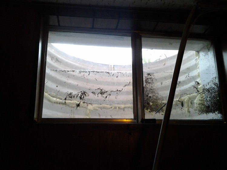 This is a window well from a home in Aurora Colorado. The source of most of the water that damaged the homes we looked at...