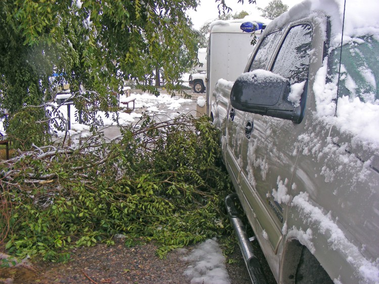 This tree branch just barely missed the truck. It rained for hours and when it stopped, it changed to snow...