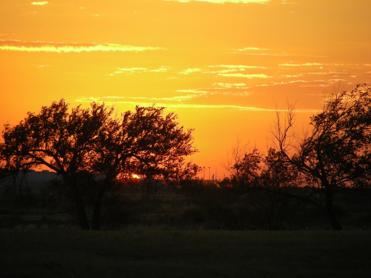 Sunset, McAdams Park, Hobbs New Mexico...