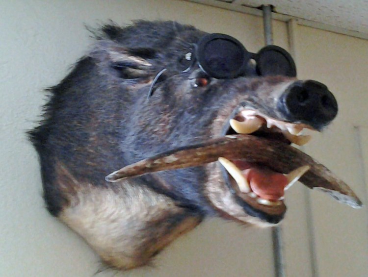 This is just weird...